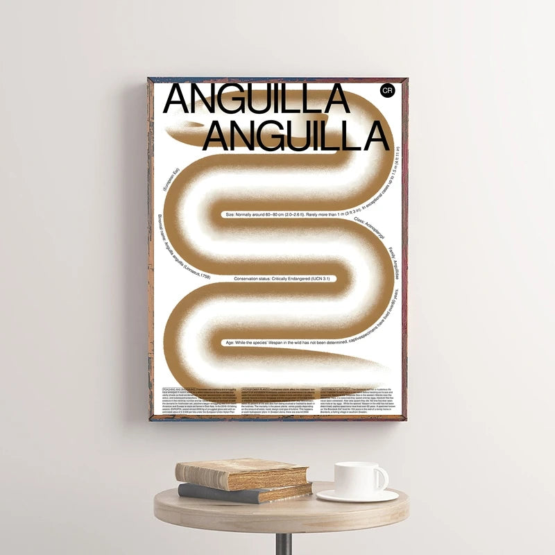 Wall Art All Seasons Unframed Canvas Anguilla Eel Scientific Poster
