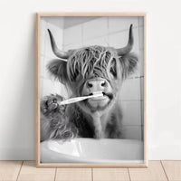 Cafe Wall Art Highland Cow Black And White